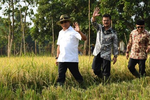 Lindungi Lahan Pertanian, Pemkab Lumajang Komitmen Dukung LP2B