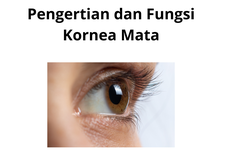 Pengertian dan Fungsi Kornea Mata