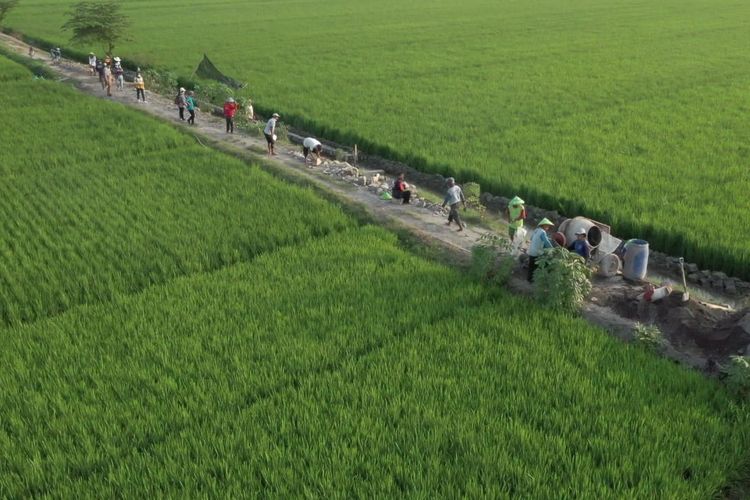 Kementerian Pekerjaan Umum (PU) terus menjalankan program Padat Karya Tunai (PKT) melalui Percepatan Peningkatan Tata Guna Air Irigasi (P3-TGAI). 
