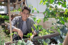 7 Tips Memulai Urban Gardening yang Mudah di Rumah