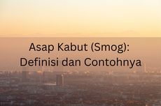 Asap Kabut (Smog): Definisi dan Contohnya