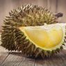 Dispar Lebong Bengkulu Gelar Kendurian, Festival Makan 10.000 Durian