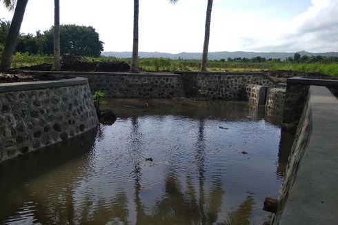 Petani di Kendal Bangun Embung untuk Atasi Kekeringan dan Gagal Panen