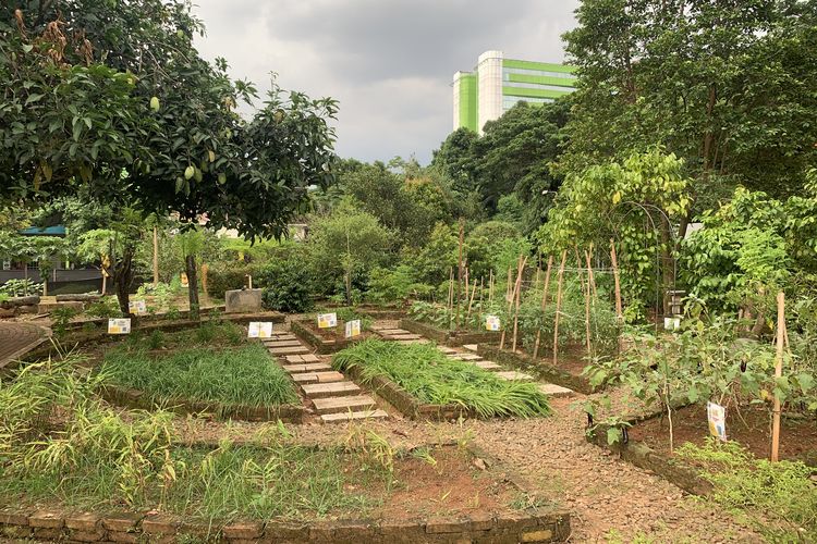 Tanpa perlu berkendara jauh dari tengah kota, nuansa asri ala pedesaan bisa kamu temui di tengah Jakarta Selatan. Bagi kamu yang gemar bercocok tanam, coba mampir ke Agroeduwisata Ragunan, spot wisata edukasi yang ramah anak.