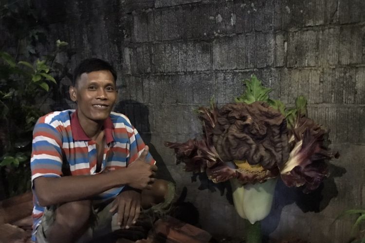 Pemilik rumah tempat tumbuhnya bunga diduga bunga bangkai di permukiman padat penduduk di Jalan Bunga Rampai RT 011 RW 03 Cipete Selatan, Cilandak, Jakarta Selatan pada Senin (11/10/2021) malam.