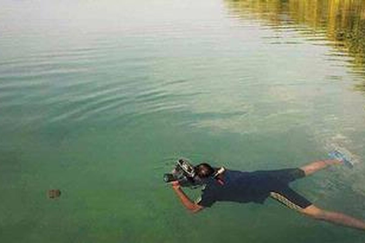 Fotografer mengabadikan ubur-ubur tanpa sengat di danau payau di Pulau Kakaban, Kabupaten Berau, Kalimantan Timur, beberapa waktu lalu. Pulau ini berada di gugusan Kepulauan Derawan. Selain melihat ubur-ubur tanpa sengat, pengunjung juga dapat menikmati penyu hijau dan keindahan panorama bawah laut di wilayah Kepulauan Derawan.