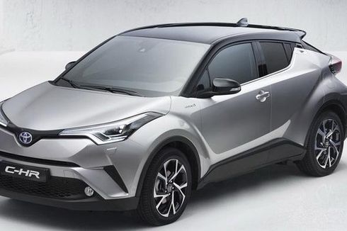 Survei C-HR, Toyota Indonesia Butuh 6-9 Bulan