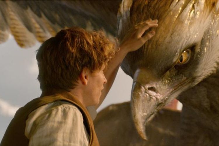 Eddie Redmayne bermain dalam Fantastic Beasts and Where to Find Them (2016)