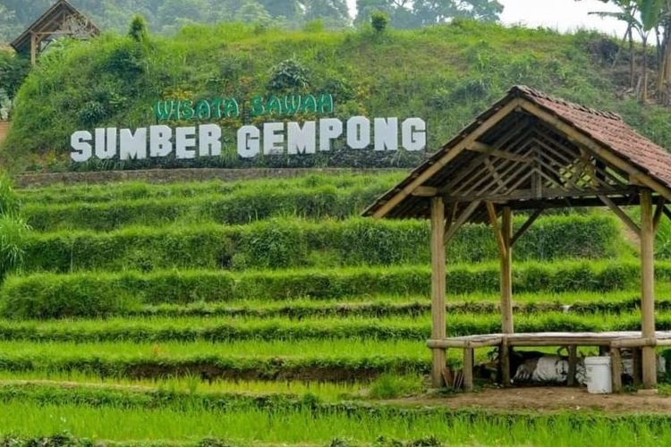 Wisata Sawah Sumber Gempong Mojokerto