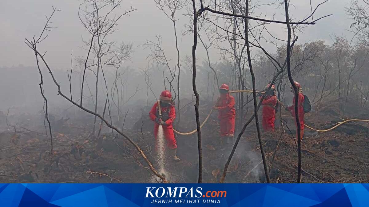 Karhutla 6 Hektare di OKI Sulit Dipadamkan, Manggala Agni Tambah Personel