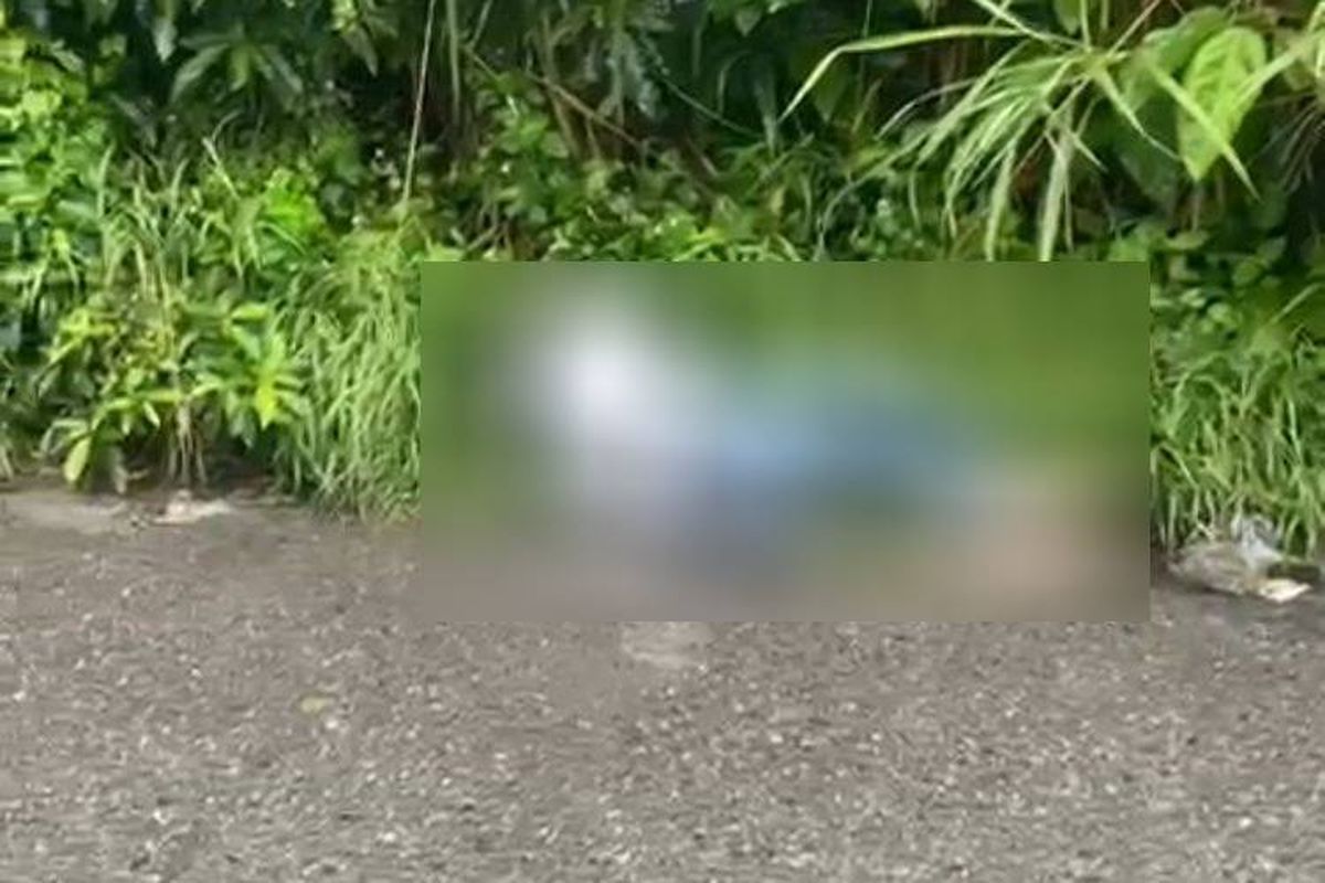 Seorang wanita ditemukan tewas di pinggir Jalan Ismail Harun, Desa Tembung, Kecamatan Percut Sei Tuan, Kabupaten Deli Serdang, Sumatera Utara (Sumut) pada Selasa (12/11/2024) pagi.