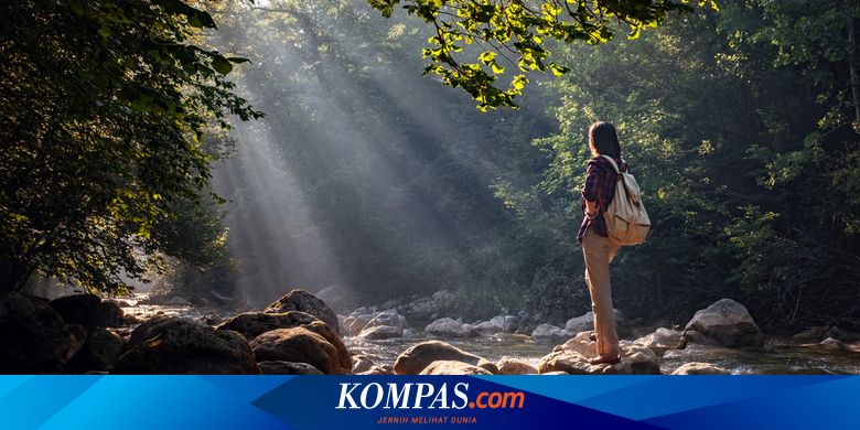 Mengukur Hubungan Alam dan Kesehatan Mengapa Penting