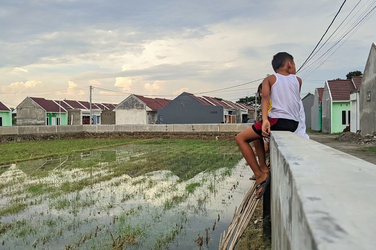 Seorang anak bermain di pinggir lahan pertanian yang berdampingan dengan lahan perumahan di Kelurahan Manisrenggo, Kecamatan Kota Kediri, Kota Kediri, Jawa Timur, Rabu (7/2/2024).