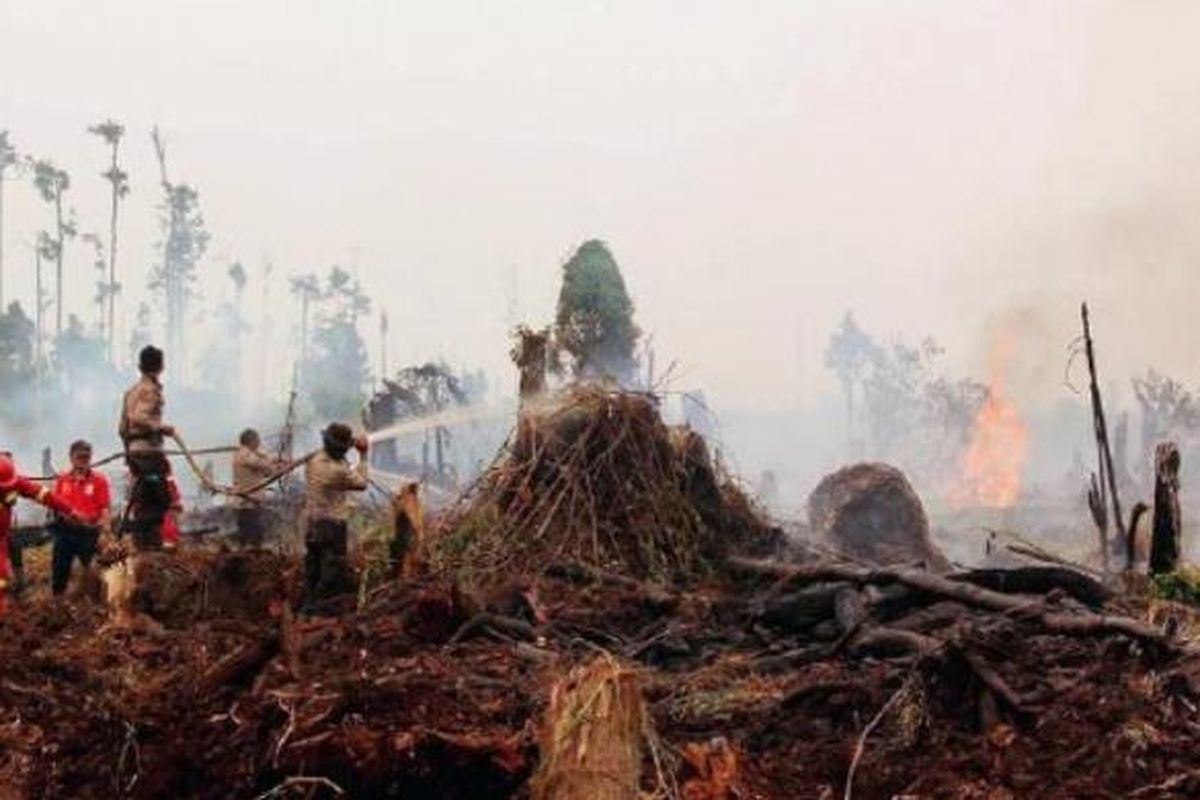 Kebakaran hutan dan lahan terjadi di area persiapan perkebunan kelapa sawit PT Sontang Sawit Permai, Kecamatan Bonai Darussalam, Kabupaten Rokan Hulu, Riau. Aparat Kepolisian Sektor Bonai Darussalam bersama personel pemadam dari PT Bina Daya Bentala, Sinar Mas Forestry Group, berupaya memadamkan api, Minggu (28/8/2016).