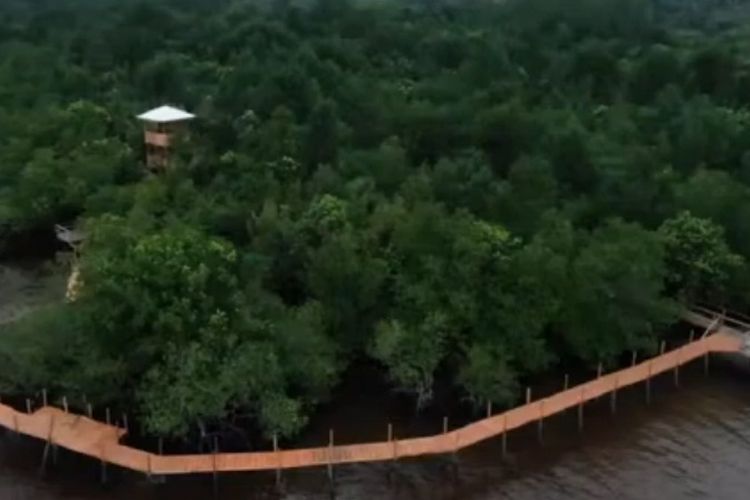 Ekowisata mangrove di Desa Pangkalan Jambi, Bengkalis, Riau, sebagai upaya menahan abrasi dan memberdayakan warga sekitar pesisir pantai di Kelurahan Sungai (Sei) Pakning, Riau. 