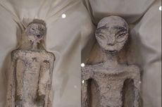 Viral, Video Meksiko Rilis "Mumi Alien" 1.000 Tahun, Asli atau Hoaks?