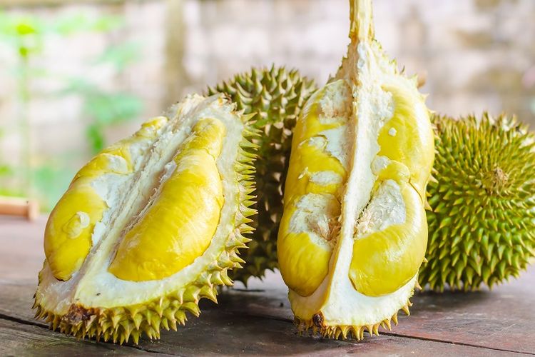 Ilustrasi durian.