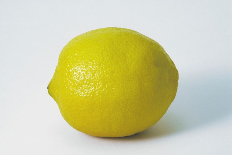 Ilustrasi buah lemon.