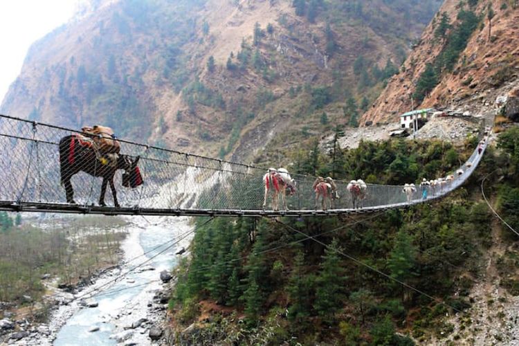 Jembatan Gantung Ghasa