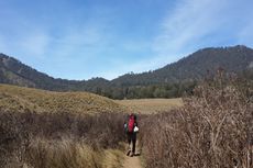 Mencari Jejak Macan Tutul dan Harimau Jawa di Bromo Tengger Semeru