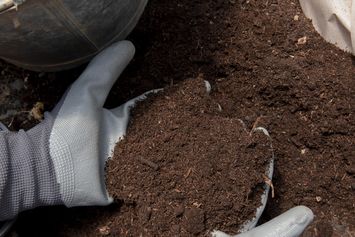 Apa-Itu-Pupuk-Kompos-Berikut-Manfaatnya-bagi-Tanah-dan-Tanaman