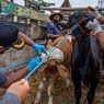 Foot-and-Mouth, Lumpy Skin Disease Outbreaks in Indonesia Spark $164 Million NSW Biosecurity Lift