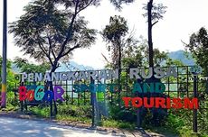 4 Kegiatan Outdoor di Wana Wisata Rusa, Camping sampai Panahan