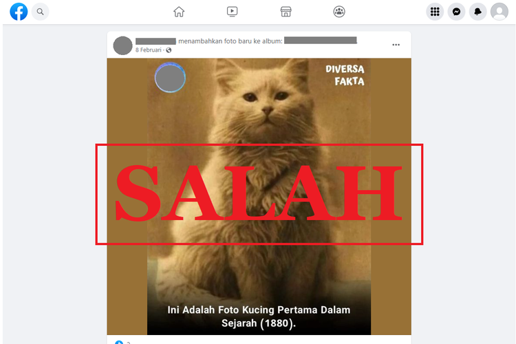 Tangkapan layar unggahan dengan narasi keliru di sebuah akun Facebook, 8 Februari 2022, soal foto yang diklaim sebagai foto kucing pertama dalam sejarah pada 1880.