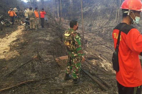 Kebakaran Hutan Lindung di Riau Diduga Disengaja, Ini Temuan Polisi