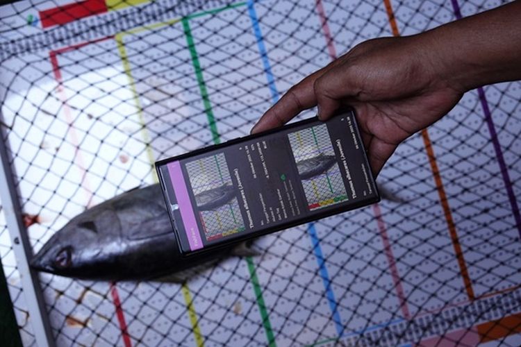 Tools Fishface dalam E-Logbook Perikanan V3 memungkinkan nelayan menggunakan smartphone untuk mengidentifikasi spesies ikan.