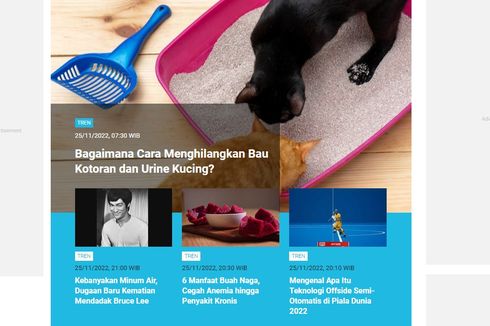 [POPULER TREN] Cara Menghilangkan Bau Kotoran dan Urine Kucing | 6 Mitos Diabestes yang Menyesatkan