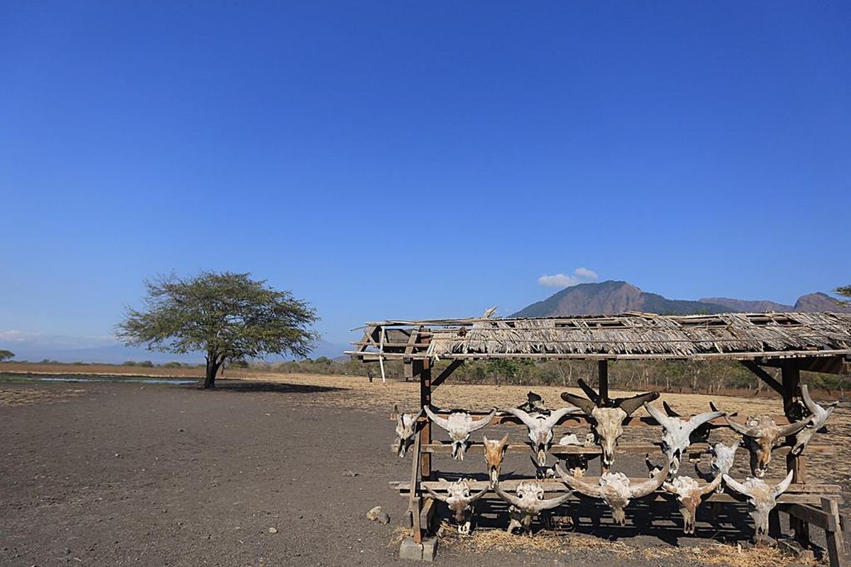 Taman Nasional Baluran.