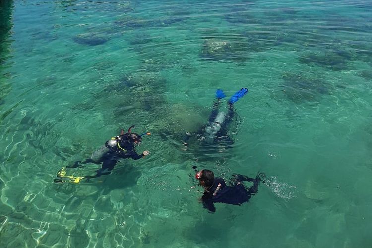 Menyelam di Pulau Padamarang Kolaka