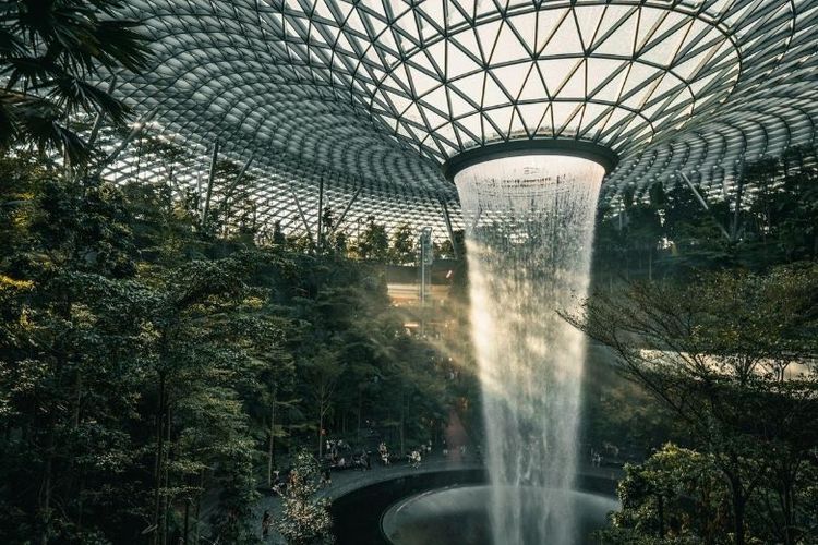 Jewel Changi Airport terasa begitu ikonik karena terdapat air terjun indoor tertinggi di dunia, yakni HSBC Rain Vortex. Air terjun ini berada di tengah-tengah Jewel dan dikelilingi oleh taman serta hutan buatan sehingga memberikan kesan asri. 