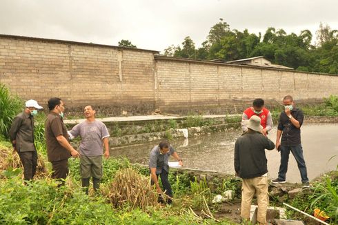 Sungai Parat Semarang Tercemar Limbah Babi, Peternak Akui Ada Kebocoran