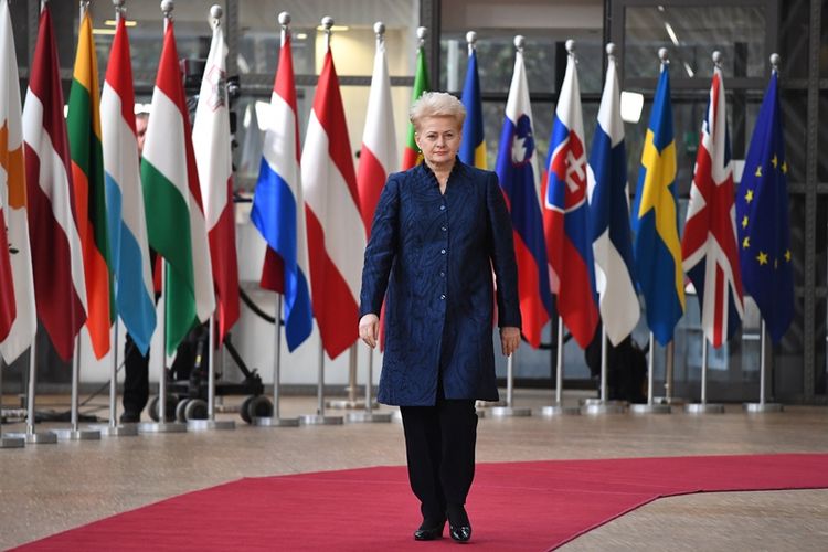 Presiden Lituania Dalia Grybauskaite. (AFP/Aris Oikonomou)