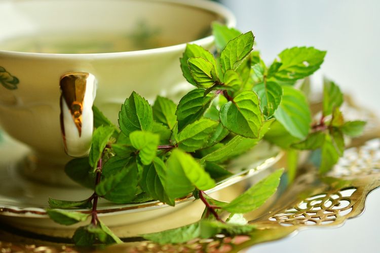 Mengonsumsi teh mint rutin bisa membantu mengatasi gangguan hormon.