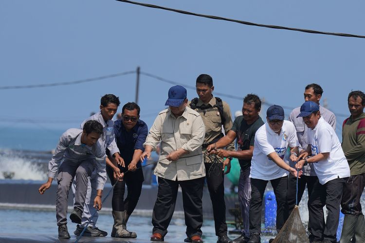 Klaim Sukses di Kebumen, Presiden Prabowo Siapkan Replikasi Tambak di Pantura