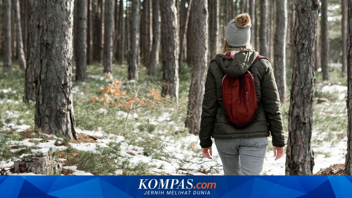 Mengenal Sisu, Filosofi Hidup Orang Finlandia Saat Menghadapi Masa Sulit