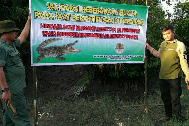 Petugas BBKSDA Riau memasang spanduk larangan beraktivitas di kawasan habitat buaya, pasca seorang nelayan tewas diterkam di Desa Teluk Lanus, Kecamatan Sungai Apit, Kabupaten Siak, Riau, Senin (27/4/2020).