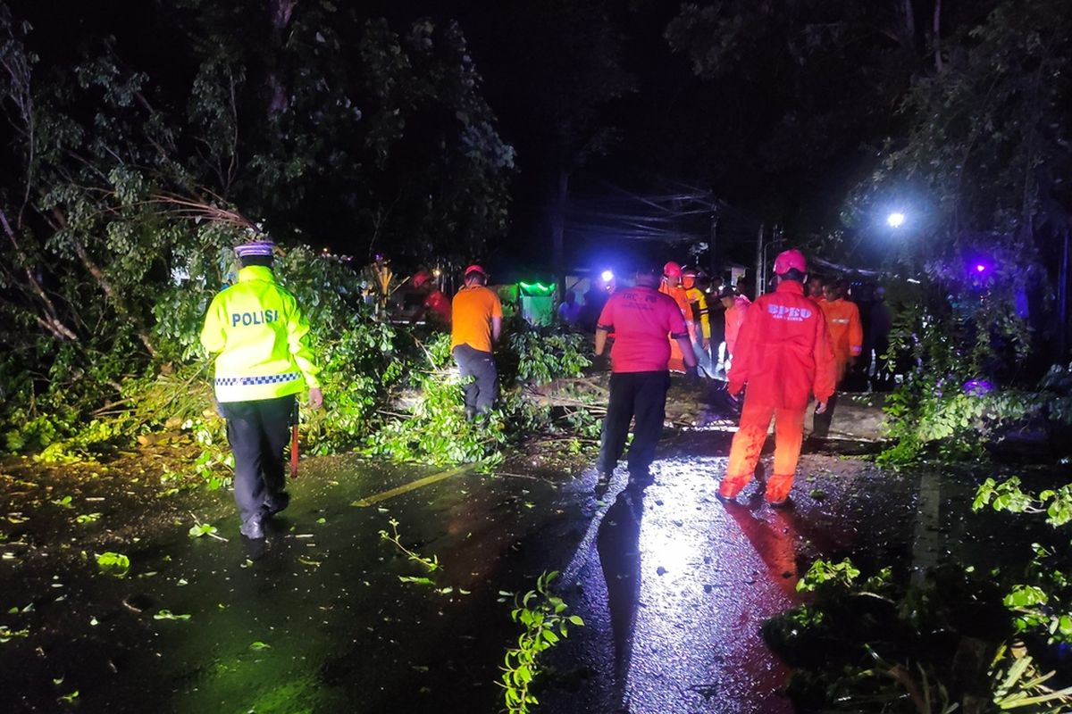 Petugas gabungan evakuasi pohon  sonokeling yang tumbang dan menutup total jalur utama, penghubung antar kota di Kabupaten Trenggalek Jawa Timur, Kamis (05/12/2024).