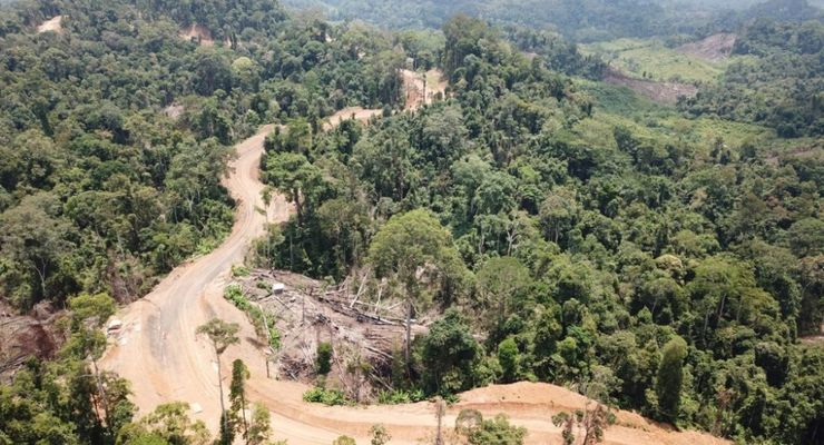 Menagih Penyelesaian Jalan Perbatasan Tembus Kaltim-Kalbar
