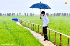 Kepuasan atas Kinerja Pemerintah Naik, PKB: Belum Ada Kemajuan Berarti di Sektor Pertanian