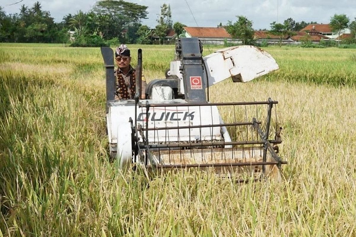 Menteri Pertanian Syahrul Yasin Limpo (Mentan SYL) meninjau langsung proses panen raya yang terjadi di Yogyakarta dan mencoba langsung alat dan mesin pertanian (Alsintan). 
