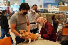 Care For Paw Jadi Sarana Pet Kingdom Wujudkan Kepedulian pada Hewan