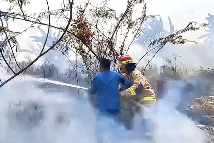 Tiga Kebakaran Lahan Landa Bandar Lampung dalam Sehari, Diduga Berawal dari Bakar Sampah