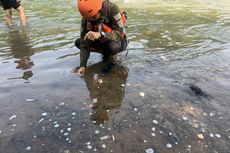 Aliran Sungai Ciliwung Dipenuhi Buih, Penyebab Masih Dicari