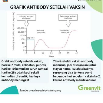 Grafik antibodi setelah vaksin