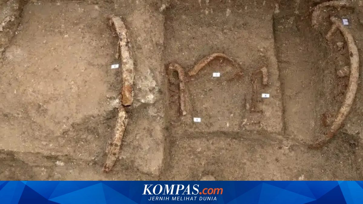 Arkeolog Italia Temukan Makam Megah "Pangeran Pra-Romawi" dan Keretanya
