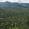 Sempat Hilang di Hutan Krayan, Syamsudin 8 Hari Jalan Kaki dari Malaysia ke Nunukan, Ini Kisahnya